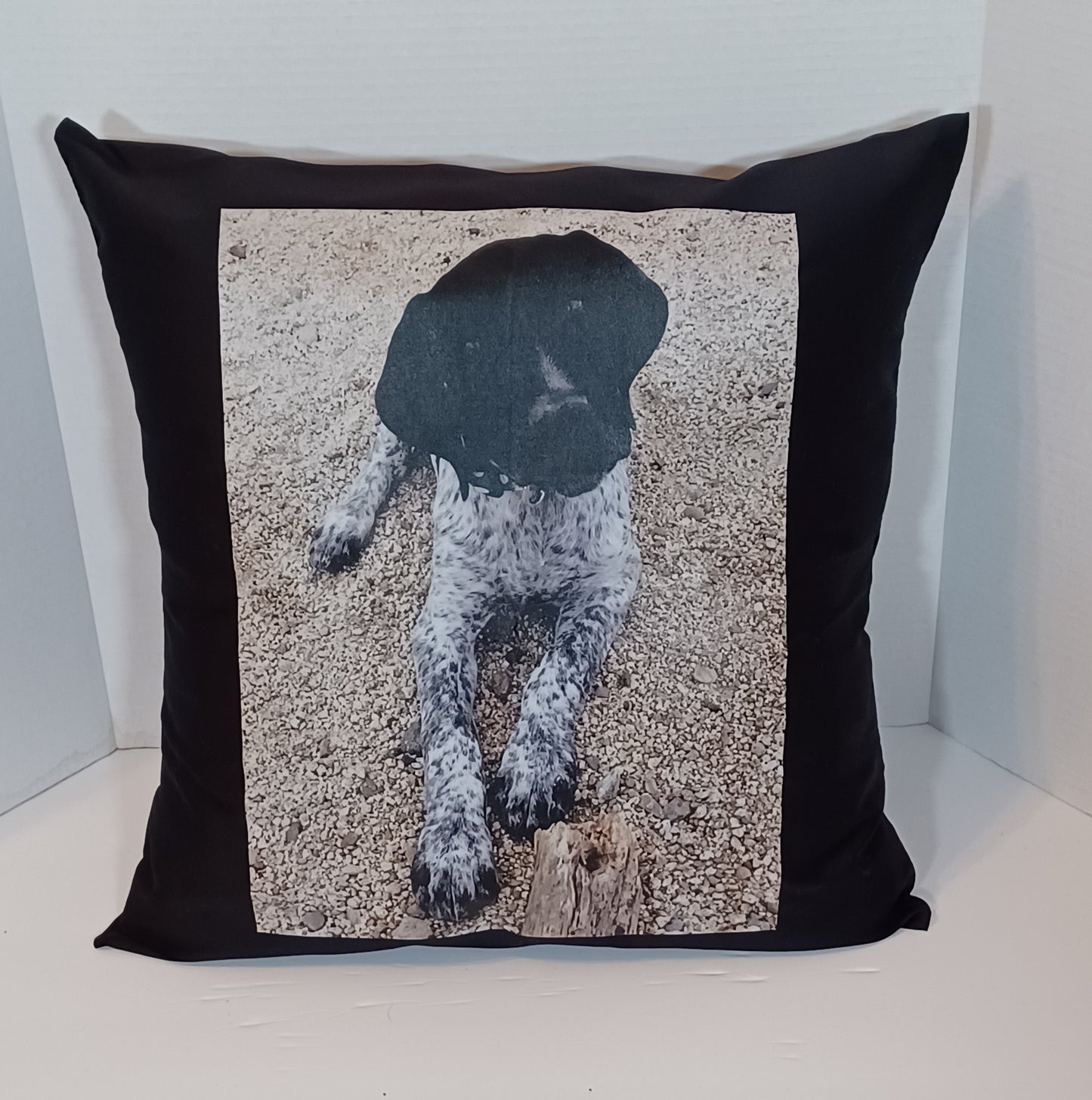 Custom Photo On a Throw Pillow